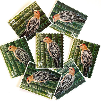 Image of Gila Woodpecker postage stamps from the 1999 Nature of America Sonoran Desert issue, featuring a brown desert bird perched on a cactus in a Southwestern landscape on vintage unused 33-cent USPS postage, Scott 3293j.
