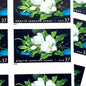 Image of 2004 American Treasures series “Martin Johnson Heade Painting” ("Giant Magnolias on a Blue Velvet Cloth”) unused 37-cent vintage USPS mail stamps. Scott #3872. Stamp Themes: Flowers, White Flowers, Floral, Botanical, Gardening, American Trees, Magnolia Tree, Magnolia Flowers. Dark Blue, Black, White, Green, Multicolored self-adhesive postage stamp. Perfect postage stamp to use for save the date announcements, wedding invitation postage, bridal shower invitations, birth announcements, thank you card