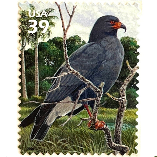 Vintage Snail Kite postage stamp from the 2006 Southern Florida Wetland issue in the Nature of America series featuring an endangered Florida raptor in wetland habitat on unused 39-cent USPS postage, Scott 4099a.