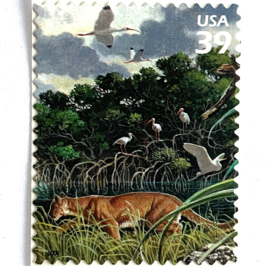 Vintage Florida Panther postage stamp from the 2006 Southern Florida Wetland issue in the Nature of America series featuring a tawny panther in subtropical wetland habitat on unused 39-cent USPS postage, Scott 4099c.