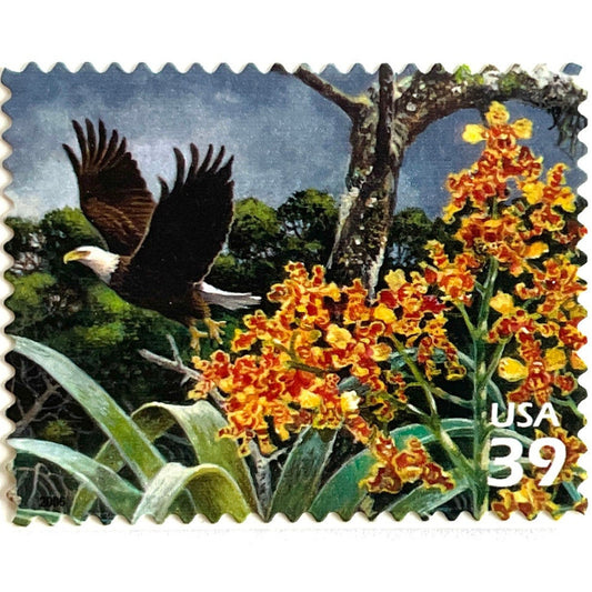 Vintage Bald Eagle postage stamp from the 2006 Southern Florida Wetland issue in the Nature of America series featuring a soaring bald eagle above wetland habitat on unused 39-cent USPS postage, Scott 4099d.