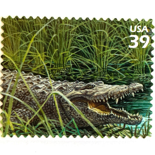 Vintage American Crocodile postage stamp from the 2006 Southern Florida Wetland issue in the Nature of America series featuring an open-jawed crocodile amid lush green Everglades vegetation on unused 39-cent USPS postage, Scott 4099e.