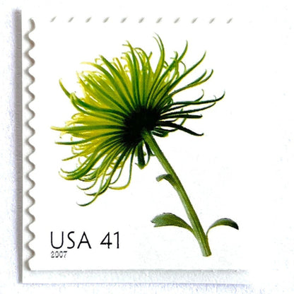Image of 2007 Beautiful Blooms series “Chrysanthemum” unused 41-cent vintage USPS mail stamps. Scott #4176. Stamp Themes: Flowers, Floral, Botanical, Fragrant, Gardening, Nature. Green self-adhesive postage stamp. Perfect postage stamp to use for save the date announcements, wedding invitation postage, bridal shower invitations, birth announcements, thank you cards, valentine’s day, and snail mail.