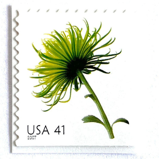 Image of 2007 Beautiful Blooms series “Chrysanthemum” unused 41-cent vintage USPS mail stamps. Scott #4176. Stamp Themes: Flowers, Floral, Botanical, Fragrant, Gardening, Nature. Green self-adhesive postage stamp. Perfect postage stamp to use for save the date announcements, wedding invitation postage, bridal shower invitations, birth announcements, thank you cards, valentine’s day, and snail mail.