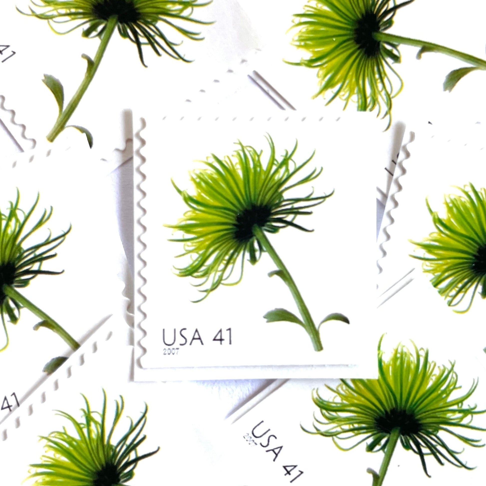 Image of 2007 Beautiful Blooms series “Chrysanthemum” unused 41-cent vintage USPS mail stamps. Scott #4176. Stamp Themes: Flowers, Floral, Botanical, Fragrant, Gardening, Nature. Green self-adhesive postage stamp. Perfect postage stamp to use for save the date announcements, wedding invitation postage, bridal shower invitations, birth announcements, thank you cards, valentine’s day, and snail mail.