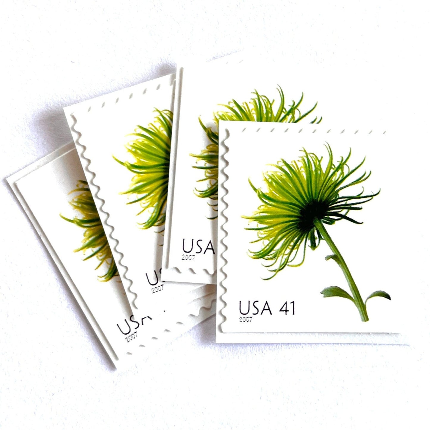 Image of 2007 Beautiful Blooms series “Chrysanthemum” unused 41-cent vintage USPS mail stamps. Scott #4176. Stamp Themes: Flowers, Floral, Botanical, Fragrant, Gardening, Nature. Green self-adhesive postage stamp. Perfect postage stamp to use for save the date announcements, wedding invitation postage, bridal shower invitations, birth announcements, thank you cards, valentine’s day, and snail mail.