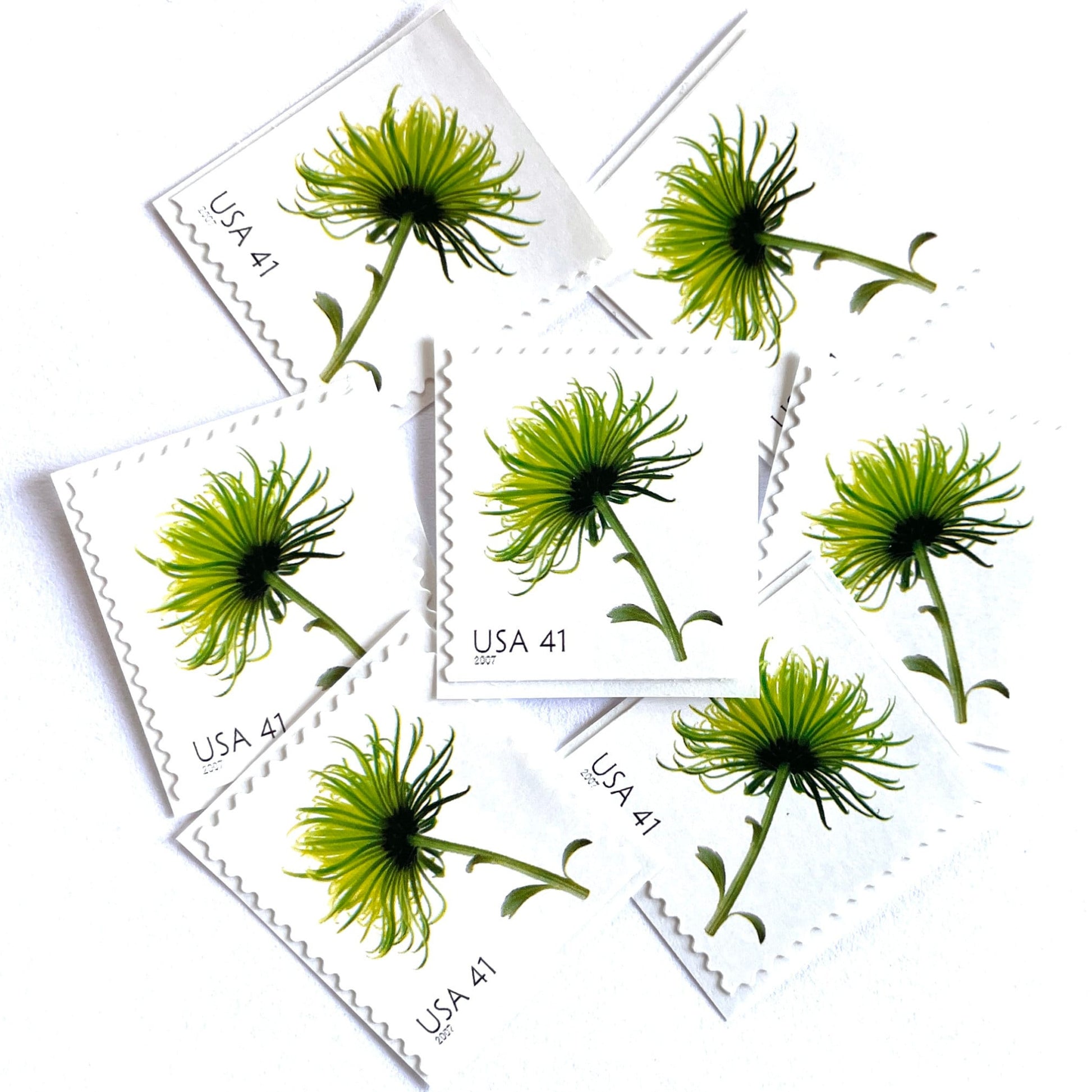 Image of 2007 Beautiful Blooms series “Chrysanthemum” unused 41-cent vintage USPS mail stamps. Scott #4176. Stamp Themes: Flowers, Floral, Botanical, Fragrant, Gardening, Nature. Green self-adhesive postage stamp. Perfect postage stamp to use for save the date announcements, wedding invitation postage, bridal shower invitations, birth announcements, thank you cards, valentine’s day, and snail mail.