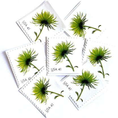 Image of 2007 Beautiful Blooms series “Chrysanthemum” unused 41-cent vintage USPS mail stamps. Scott #4176. Stamp Themes: Flowers, Floral, Botanical, Fragrant, Gardening, Nature. Green self-adhesive postage stamp. Perfect postage stamp to use for save the date announcements, wedding invitation postage, bridal shower invitations, birth announcements, thank you cards, valentine’s day, and snail mail.