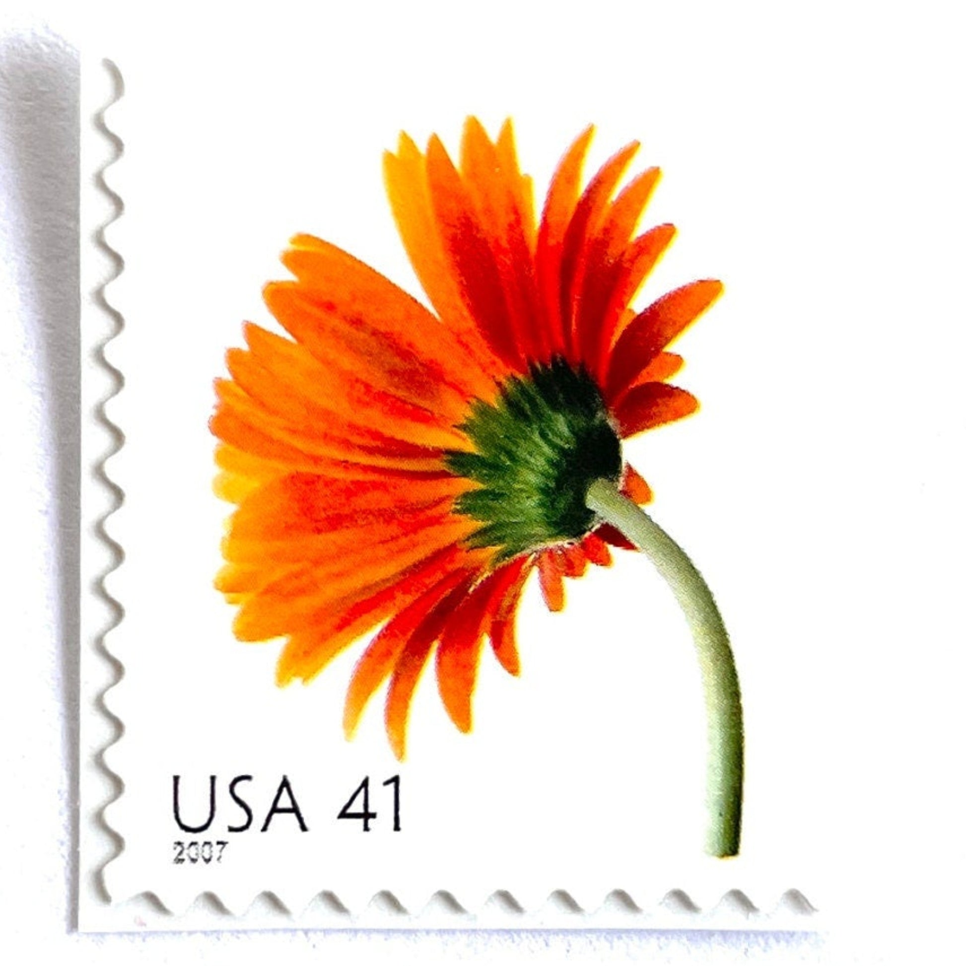 Image of 2007 Beautiful Blooms series “Orange Gerbera Daisy” unused 41-cent vintage USPS mail stamps. Scott #4177. Stamp Themes: Flowers, Floral, Botanical, Fragrant, Gardening, Nature. Orange, Green, Multicolored self-adhesive postage stamp. Perfect postage stamp to use for save the date announcements, wedding invitation postage, bridal shower invitations, birth announcements, thank you cards, valentine’s day, and snail mail.