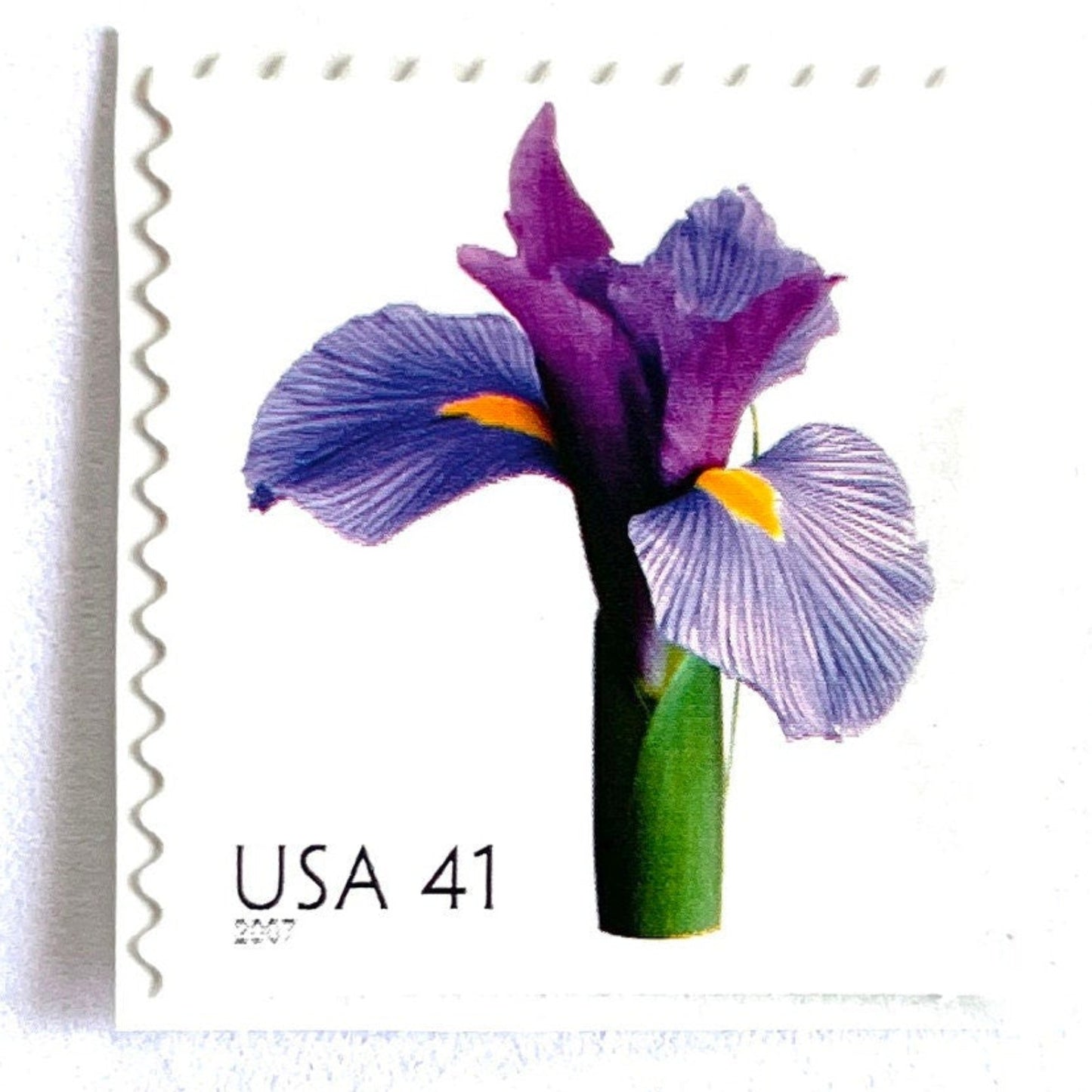 Image of 2007 Beautiful Blooms series “Iris” unused 41-cent vintage USPS mail stamps. Scott #4178. Stamp Themes: Flowers, Floral, Botanical, Fragrant, Gardening, Nature. Purple, Green, Multicolored self-adhesive postage stamp. Perfect postage stamp to use for save the date announcements, wedding invitation postage, bridal shower invitations, birth announcements, thank you cards, valentine’s day, and snail mail.