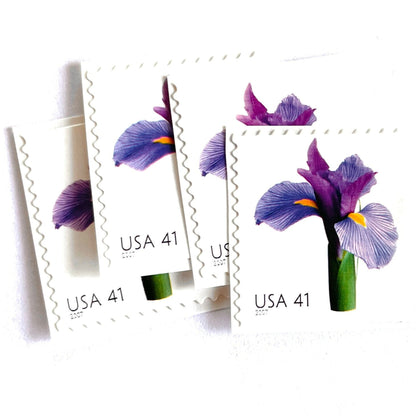 Image of 2007 Beautiful Blooms series “Iris” unused 41-cent vintage USPS mail stamps. Scott #4178. Stamp Themes: Flowers, Floral, Botanical, Fragrant, Gardening, Nature. Purple, Green, Multicolored self-adhesive postage stamp. Perfect postage stamp to use for save the date announcements, wedding invitation postage, bridal shower invitations, birth announcements, thank you cards, valentine’s day, and snail mail.