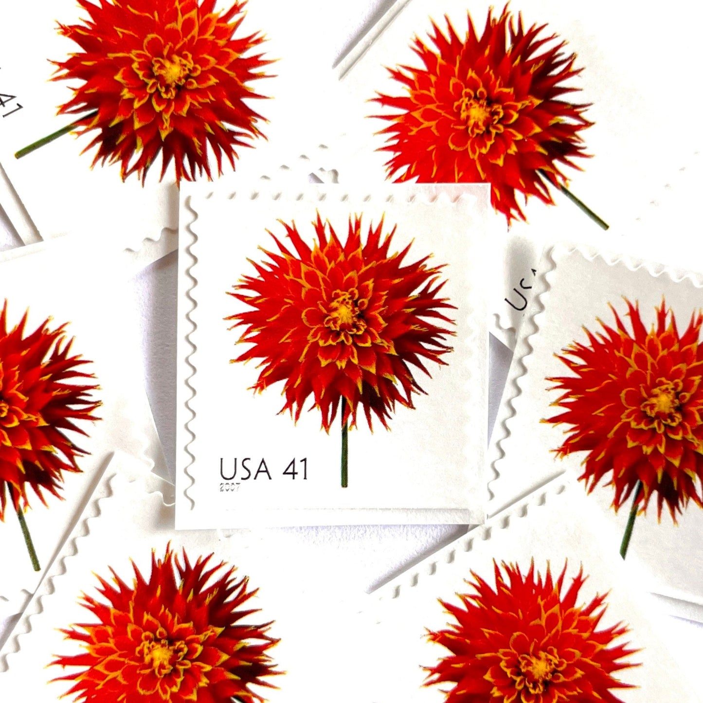 Image of 2007 Beautiful Blooms series “Dahlia” unused 41-cent vintage USPS mail stamps. Scott #4179. Stamp Themes: Flowers, Floral, Botanical, Fragrant, Gardening, Nature. Red, Green, Multicolored self-adhesive postage stamp. Perfect postage stamp to use for save the date announcements, wedding invitation postage, bridal shower invitations, birth announcements, thank you cards, valentine’s day, and snail mail.