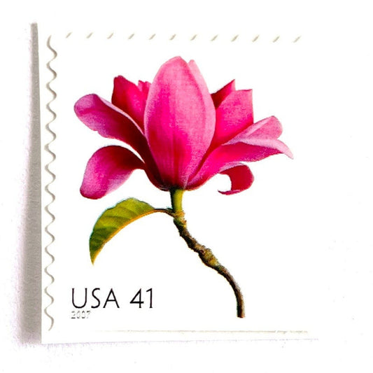 Image of 2007 Beautiful Blooms series “Magnolia” unused 41-cent vintage USPS mail stamps. Scott #4180. Stamp Themes: Flowers, Floral, Botanical, Fragrant, Gardening, Nature. Pink, Green, Multicolored self-adhesive postage stamp. Perfect postage stamp to use for save the date announcements, wedding invitation postage, bridal shower invitations, birth announcements, thank you cards, valentine’s day, and snail mail.