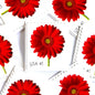 Image of 2007 Beautiful Blooms series “Red Gerbera Daisy” unused 41-cent vintage USPS mail stamps. Scott #4181. Stamp Themes: Flowers, Floral, Botanical, Fragrant, Gardening, Nature. Red, Green, Multicolored self-adhesive postage stamp. Perfect postage stamp to use for save the date announcements, wedding invitation postage, bridal shower invitations, birth announcements, thank you cards, valentine’s day, and snail mail.