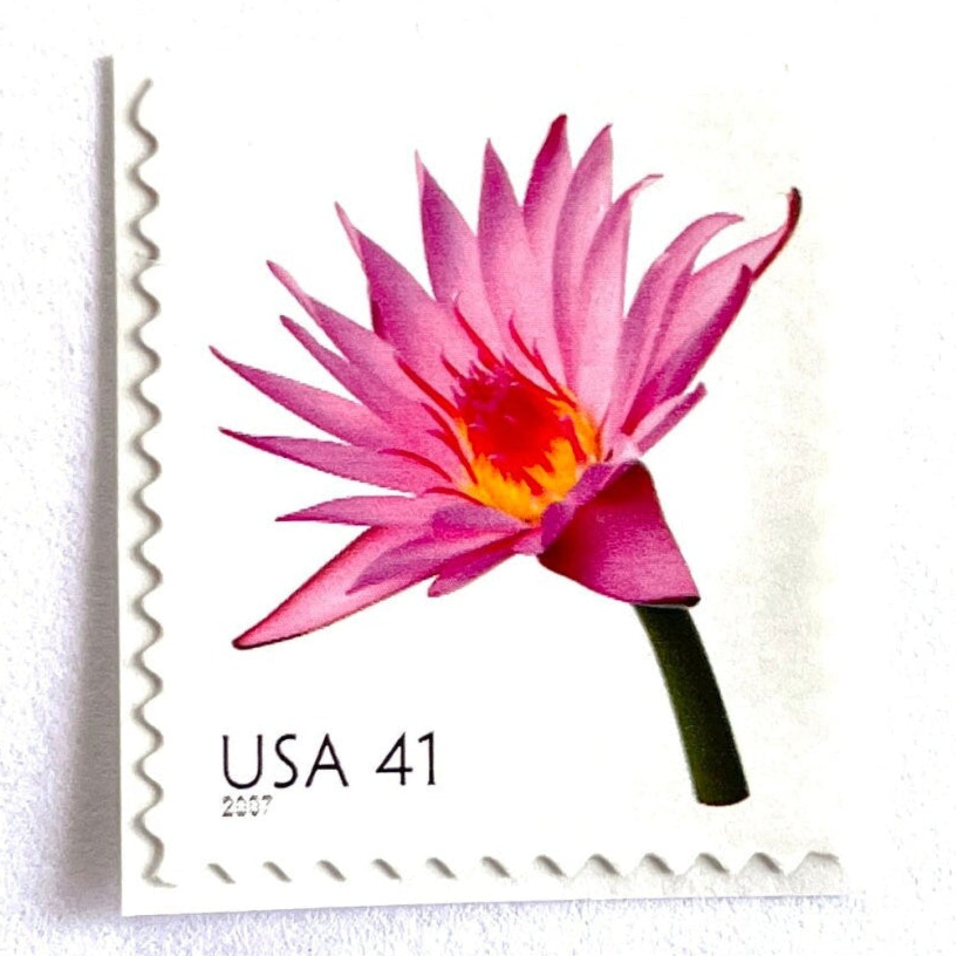 Image of 2007 Beautiful Blooms series “Water Lily” unused 41-cent vintage USPS mail stamps. Scott #4182. Stamp Themes: Aquatic Plants, Flowers, Floral, Botanical, Fragrant, Gardening, Nature. Pink, Orange, Green, Multicolored self-adhesive postage stamp. Perfect postage stamp to use for save the date announcements, wedding invitation postage, bridal shower invitations, birth announcements, thank you cards, valentine’s day, and snail mail.