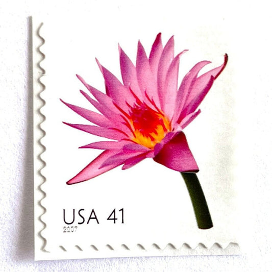 Image of 2007 Beautiful Blooms series “Water Lily” unused 41-cent vintage USPS mail stamps. Scott #4182. Stamp Themes: Aquatic Plants, Flowers, Floral, Botanical, Fragrant, Gardening, Nature. Pink, Orange, Green, Multicolored self-adhesive postage stamp. Perfect postage stamp to use for save the date announcements, wedding invitation postage, bridal shower invitations, birth announcements, thank you cards, valentine’s day, and snail mail.