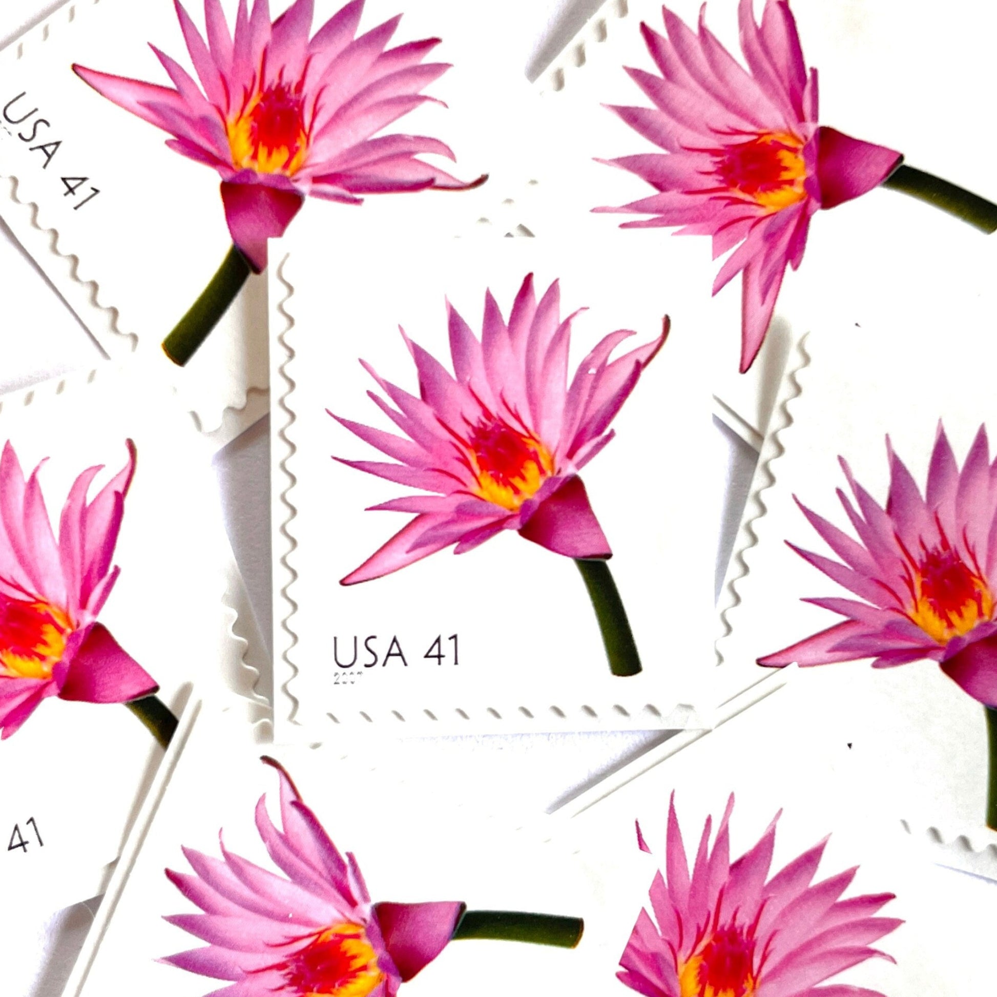 Image of 2007 Beautiful Blooms series “Water Lily” unused 41-cent vintage USPS mail stamps. Scott #4182. Stamp Themes: Aquatic Plants, Flowers, Floral, Botanical, Fragrant, Gardening, Nature. Pink, Orange, Green, Multicolored self-adhesive postage stamp. Perfect postage stamp to use for save the date announcements, wedding invitation postage, bridal shower invitations, birth announcements, thank you cards, valentine’s day, and snail mail.