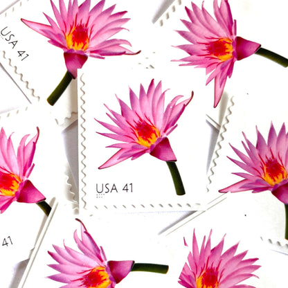 Image of 2007 Beautiful Blooms series “Water Lily” unused 41-cent vintage USPS mail stamps. Scott #4182. Stamp Themes: Aquatic Plants, Flowers, Floral, Botanical, Fragrant, Gardening, Nature. Pink, Orange, Green, Multicolored self-adhesive postage stamp. Perfect postage stamp to use for save the date announcements, wedding invitation postage, bridal shower invitations, birth announcements, thank you cards, valentine’s day, and snail mail.