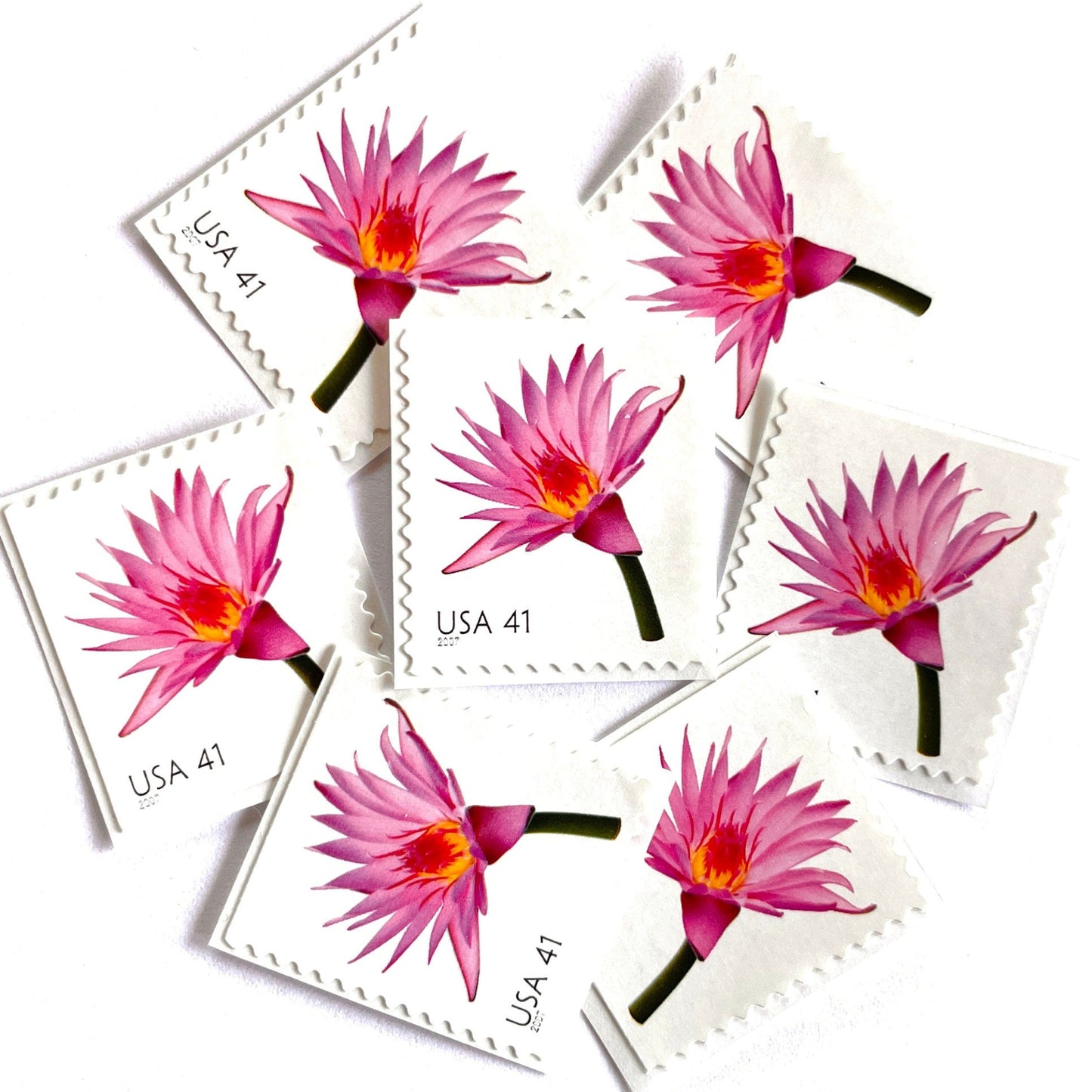 Image of 2007 Beautiful Blooms series “Water Lily” unused 41-cent vintage USPS mail stamps. Scott #4182. Stamp Themes: Aquatic Plants, Flowers, Floral, Botanical, Fragrant, Gardening, Nature. Pink, Orange, Green, Multicolored self-adhesive postage stamp. Perfect postage stamp to use for save the date announcements, wedding invitation postage, bridal shower invitations, birth announcements, thank you cards, valentine’s day, and snail mail.