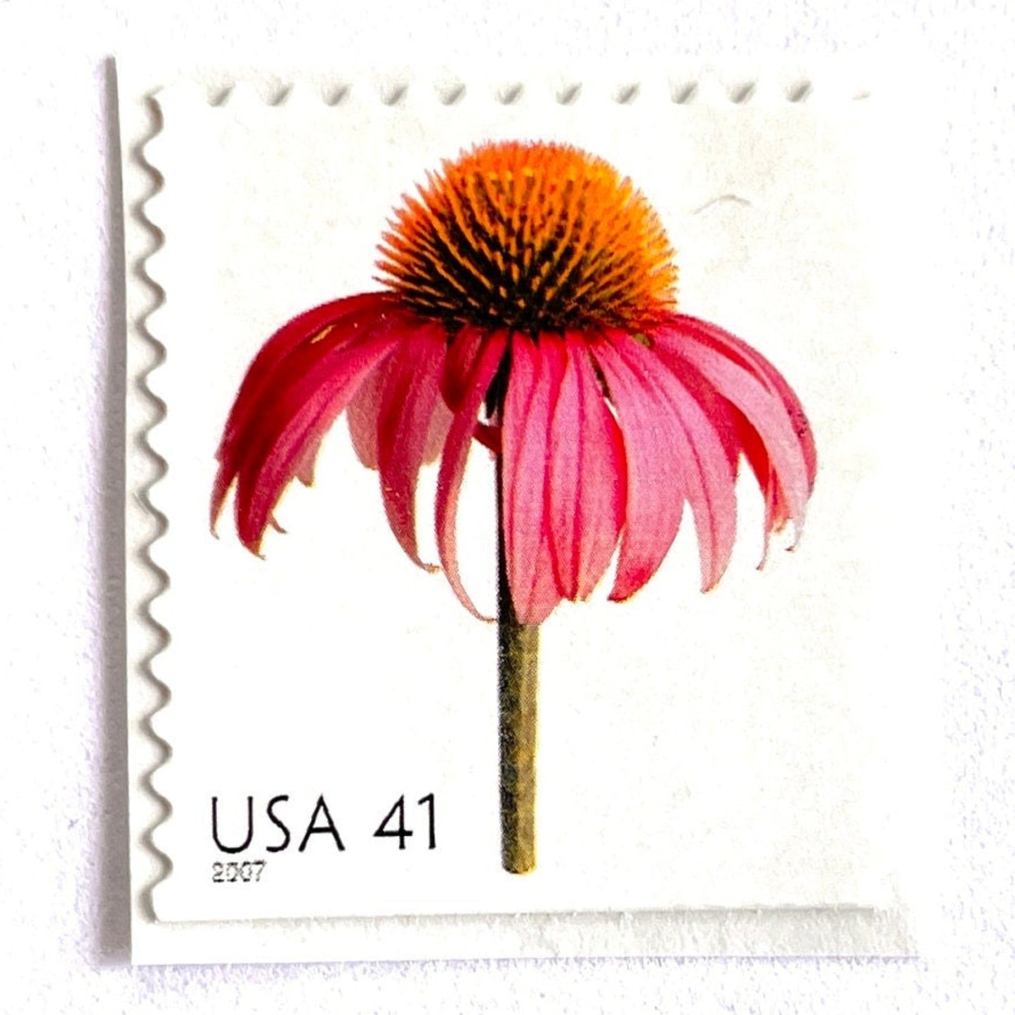 Image of 2007 Beautiful Blooms series “Coneflower” unused 41-cent vintage USPS mail stamps. Scott #4184. Stamp Themes: Flowers, Floral, Botanical, Fragrant, Gardening, Nature. Pink, Orange, Green, Multicolored self-adhesive postage stamp. Perfect postage stamp to use for save the date announcements, wedding invitation postage, bridal shower invitations, birth announcements, thank you cards, valentine’s day, and snail mail.