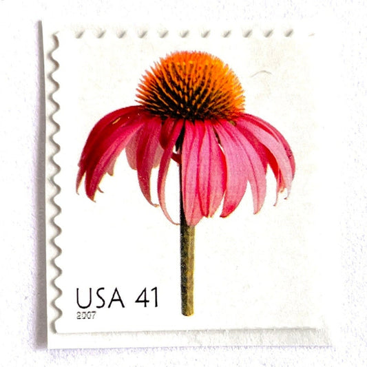 Image of 2007 Beautiful Blooms series “Coneflower” unused 41-cent vintage USPS mail stamps. Scott #4184. Stamp Themes: Flowers, Floral, Botanical, Fragrant, Gardening, Nature. Pink, Orange, Green, Multicolored self-adhesive postage stamp. Perfect postage stamp to use for save the date announcements, wedding invitation postage, bridal shower invitations, birth announcements, thank you cards, valentine’s day, and snail mail.