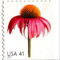 Vintage Coneflower postage stamp from the 2007 Beautiful Blooms series featuring a close-up pink echinacea blossom with a raised orange center on unused 41-cent USPS postage, Scott 4184.