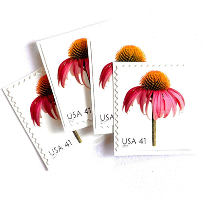 Image of 2007 Beautiful Blooms series “Coneflower” unused 41-cent vintage USPS mail stamps. Scott #4184. Stamp Themes: Flowers, Floral, Botanical, Fragrant, Gardening, Nature. Pink, Orange, Green, Multicolored self-adhesive postage stamp. Perfect postage stamp to use for save the date announcements, wedding invitation postage, bridal shower invitations, birth announcements, thank you cards, valentine’s day, and snail mail.