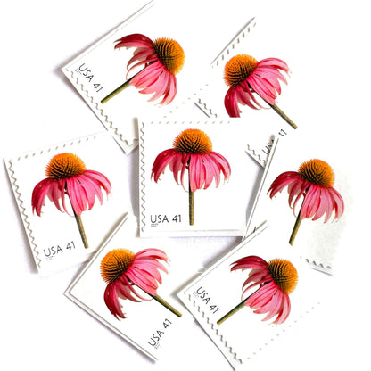 Image of 2007 Beautiful Blooms series “Coneflower” unused 41-cent vintage USPS mail stamps. Scott #4184. Stamp Themes: Flowers, Floral, Botanical, Fragrant, Gardening, Nature. Pink, Orange, Green, Multicolored self-adhesive postage stamp. Perfect postage stamp to use for save the date announcements, wedding invitation postage, bridal shower invitations, birth announcements, thank you cards, valentine’s day, and snail mail.
