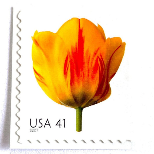 Image of 2007 Beautiful Blooms series “Tulip” unused 41-cent vintage USPS mail stamps. Scott #4185. Stamp Themes: Flowers, Floral, Botanical, Fragrant, Gardening, Nature. Yellow, Orange, Green, Multicolored self-adhesive postage stamp. Perfect postage stamp to use for save the date announcements, wedding invitation postage, bridal shower invitations, birth announcements, thank you cards, valentine’s day, and snail mail.