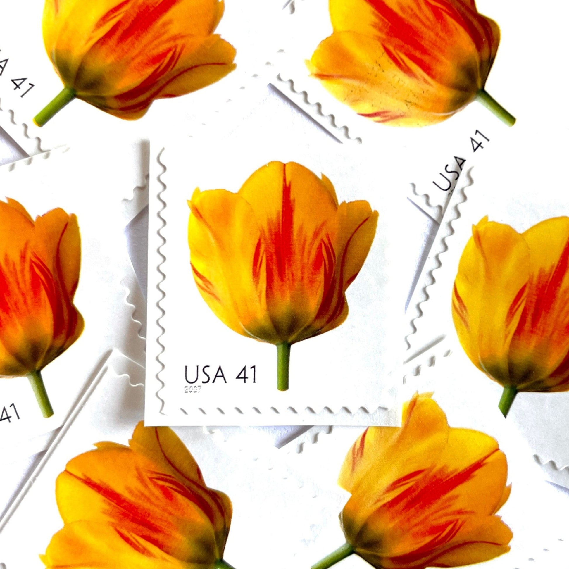Image of 2007 Beautiful Blooms series “Tulip” unused 41-cent vintage USPS mail stamps. Scott #4185. Stamp Themes: Flowers, Floral, Botanical, Fragrant, Gardening, Nature. Yellow, Orange, Green, Multicolored self-adhesive postage stamp. Perfect postage stamp to use for save the date announcements, wedding invitation postage, bridal shower invitations, birth announcements, thank you cards, valentine’s day, and snail mail.