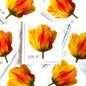 Image of 2007 Beautiful Blooms series “Tulip” unused 41-cent vintage USPS mail stamps. Scott #4185. Stamp Themes: Flowers, Floral, Botanical, Fragrant, Gardening, Nature. Yellow, Orange, Green, Multicolored self-adhesive postage stamp. Perfect postage stamp to use for save the date announcements, wedding invitation postage, bridal shower invitations, birth announcements, thank you cards, valentine’s day, and snail mail.