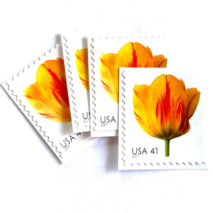 Image of 2007 Beautiful Blooms series “Tulip” unused 41-cent vintage USPS mail stamps. Scott #4185. Stamp Themes: Flowers, Floral, Botanical, Fragrant, Gardening, Nature. Yellow, Orange, Green, Multicolored self-adhesive postage stamp. Perfect postage stamp to use for save the date announcements, wedding invitation postage, bridal shower invitations, birth announcements, thank you cards, valentine’s day, and snail mail.