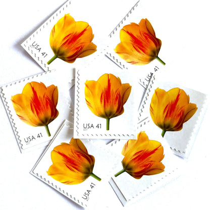 Image of 2007 Beautiful Blooms series “Tulip” unused 41-cent vintage USPS mail stamps. Scott #4185. Stamp Themes: Flowers, Floral, Botanical, Fragrant, Gardening, Nature. Yellow, Orange, Green, Multicolored self-adhesive postage stamp. Perfect postage stamp to use for save the date announcements, wedding invitation postage, bridal shower invitations, birth announcements, thank you cards, valentine’s day, and snail mail.