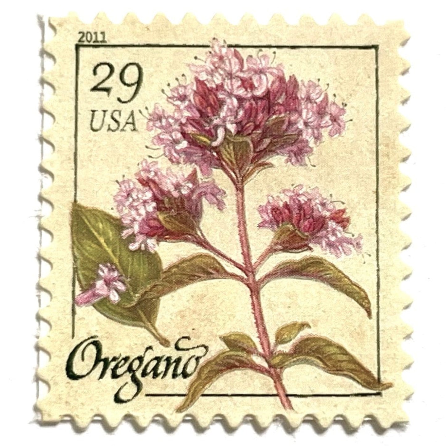 Image of 2011 Herbs Series “Oregano” unused 29-cent USPS mail stamps. Scott #4505. Stamp Themes: Herbs, Culinary, Cooking, Flowers, Wildflowers, Floral, Botanical, Fragrant, Italian Wedding, Bridal. Pink, Green, White, Beige/Neutral, Multicolored self-adhesive postage stamp. Perfect postage stamp to use for save the date announcements, wedding invitation postage, shower invitations, birth announcements, thank you cards, valentine’s day, and snail mail.