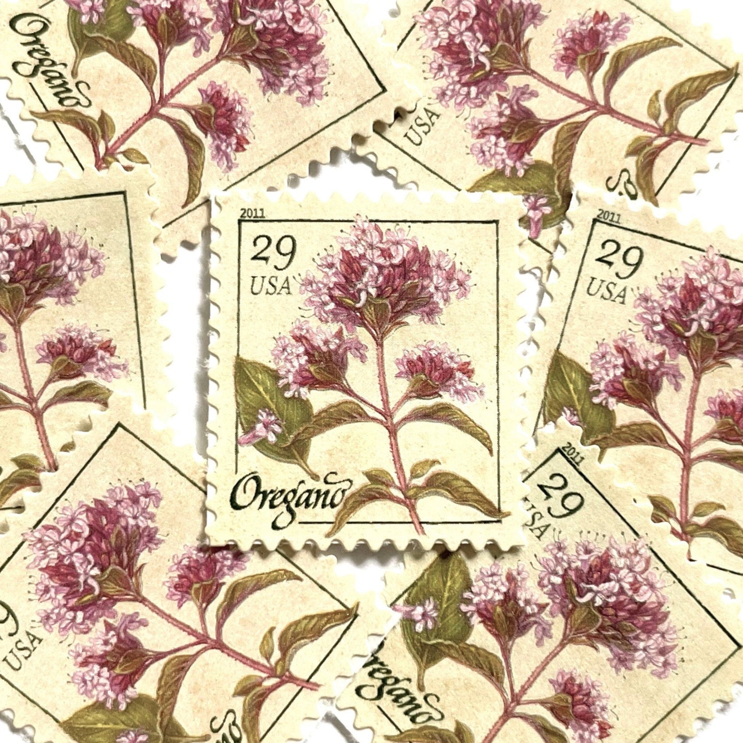 Image of 2011 Herbs Series “Oregano” unused 29-cent USPS mail stamps. Scott #4505. Stamp Themes: Herbs, Culinary, Cooking, Flowers, Wildflowers, Floral, Botanical, Fragrant, Italian Wedding, Bridal. Pink, Green, White, Beige/Neutral, Multicolored self-adhesive postage stamp. Perfect postage stamp to use for save the date announcements, wedding invitation postage, shower invitations, birth announcements, thank you cards, valentine’s day, and snail mail.