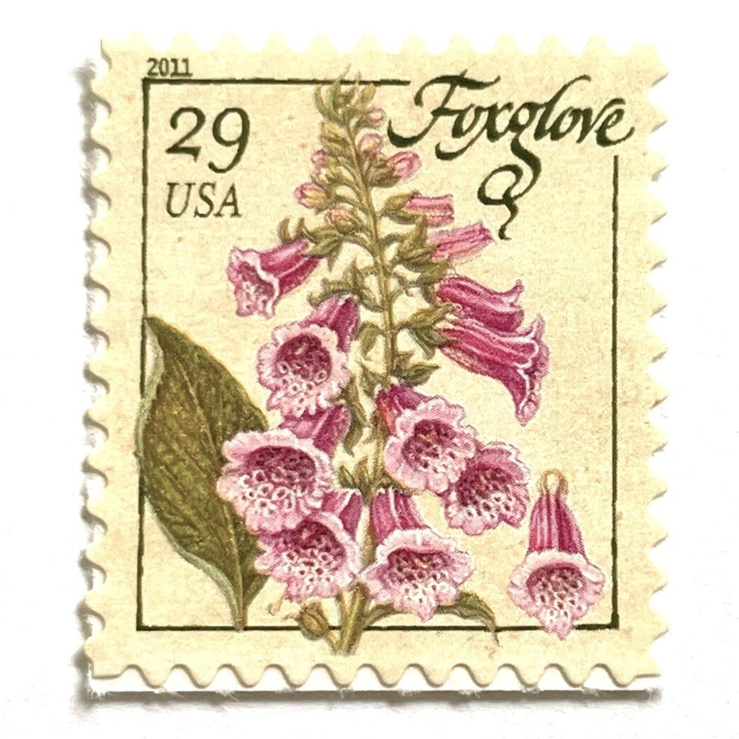 Image of 2011 Herbs Series “Foxglove” unused 29-cent USPS mail stamps. Scott #4507. Stamp Themes: Herbs, Medicinal, Culinary, Cooking, Flowers, Wildflowers, Floral, Botanical, Fragrant. Pink, Purple, Green, White, Beige/Neutral, Multicolored self-adhesive postage stamp. Perfect postage stamp to use for save the date announcements, wedding invitation postage, shower invitations, birth announcements, thank you cards, valentine’s day, and snail mail.