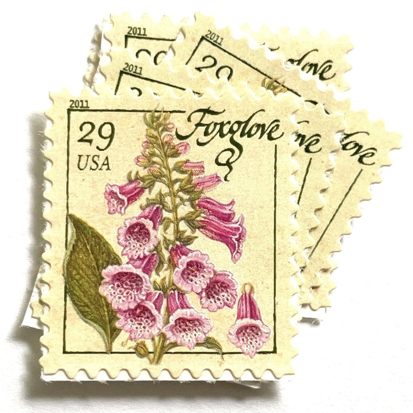 Image of 2011 Herbs Series “Foxglove” unused 29-cent USPS mail stamps. Scott #4507. Stamp Themes: Herbs, Medicinal, Culinary, Cooking, Flowers, Wildflowers, Floral, Botanical, Fragrant. Pink, Purple, Green, White, Beige/Neutral, Multicolored self-adhesive postage stamp. Perfect postage stamp to use for save the date announcements, wedding invitation postage, shower invitations, birth announcements, thank you cards, valentine’s day, and snail mail.