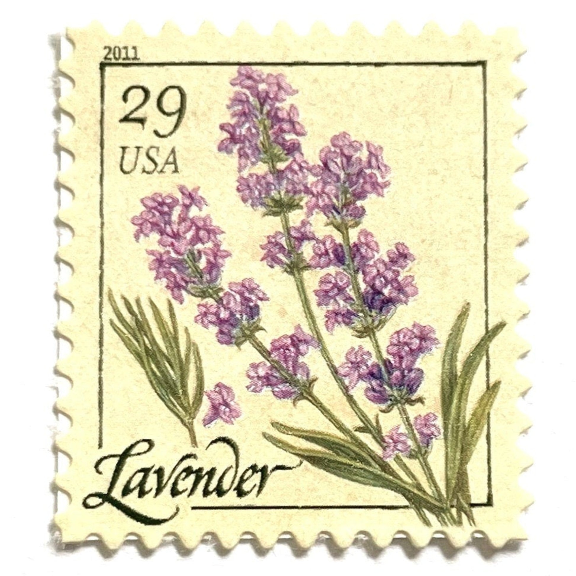 Image of 2011 Herbs Series “Lavender” unused 29-cent USPS mail stamps. Scott #4508. Stamp Themes: Herbs, Medicinal, Culinary, Cooking, Flowers, Wildflowers, Floral, Botanical, Fragrant, Mediterranean. Purple, Violet, Green, Beige/Neutral, Multicolored self-adhesive postage stamp. Perfect postage stamp to use for save the date announcements, wedding invitation postage, shower invitations, birth announcements, thank you cards, valentine’s day, and snail mail.