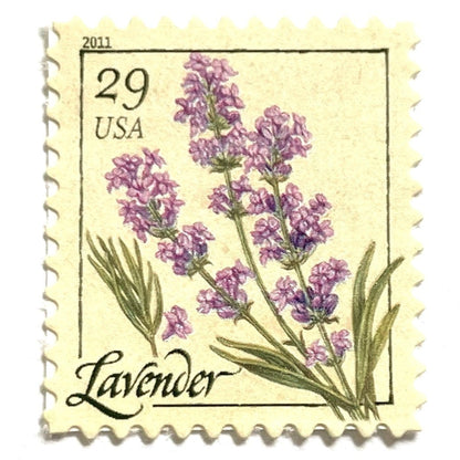 Image of 2011 Herbs Series “Lavender” unused 29-cent USPS mail stamps. Scott #4508. Stamp Themes: Herbs, Medicinal, Culinary, Cooking, Flowers, Wildflowers, Floral, Botanical, Fragrant, Mediterranean. Purple, Violet, Green, Beige/Neutral, Multicolored self-adhesive postage stamp. Perfect postage stamp to use for save the date announcements, wedding invitation postage, shower invitations, birth announcements, thank you cards, valentine’s day, and snail mail.