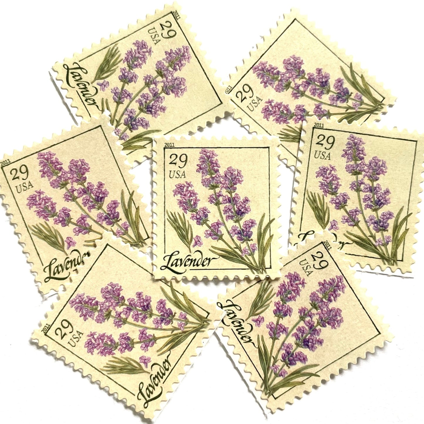 Image of 2011 Herbs Series “Lavender” unused 29-cent USPS mail stamps. Scott #4508. Stamp Themes: Herbs, Medicinal, Culinary, Cooking, Flowers, Wildflowers, Floral, Botanical, Fragrant, Mediterranean. Purple, Violet, Green, Beige/Neutral, Multicolored self-adhesive postage stamp. Perfect postage stamp to use for save the date announcements, wedding invitation postage, shower invitations, birth announcements, thank you cards, valentine’s day, and snail mail.