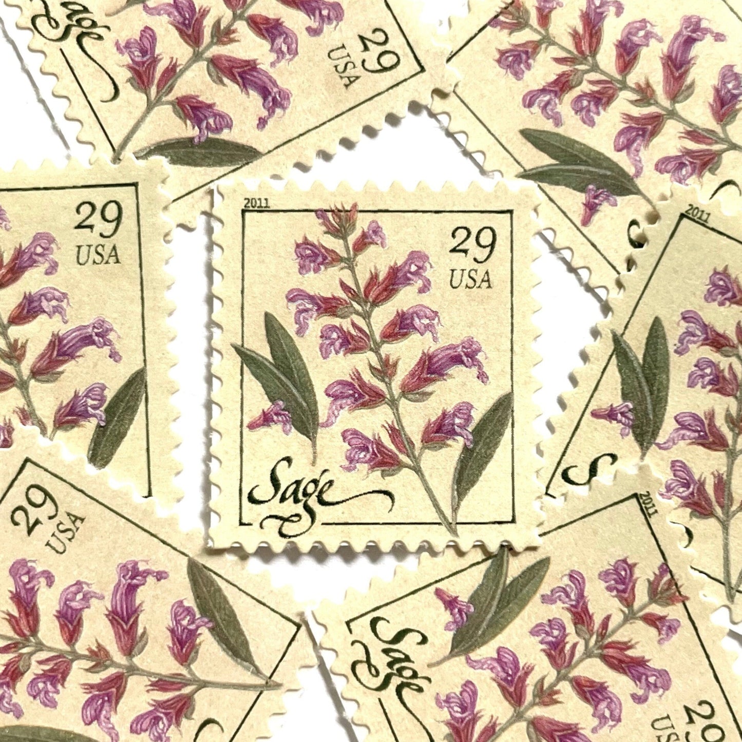 Image of 2011 Herbs Series “Sage” unused 29-cent USPS mail stamps. Scott #4509. Stamp Themes: Herbs, Medicinal, Culinary, Cooking, Flowers, Wildflowers, Floral, Botanical, Fragrant, Mediterranean. Pink, Purple, Violet, Green, White, Beige/Neutral, Multicolored self-adhesive postage stamp. Perfect postage stamp to use for save the date announcements, wedding invitation postage, shower invitations, birth announcements, thank you cards, valentine’s day, and snail mail.
