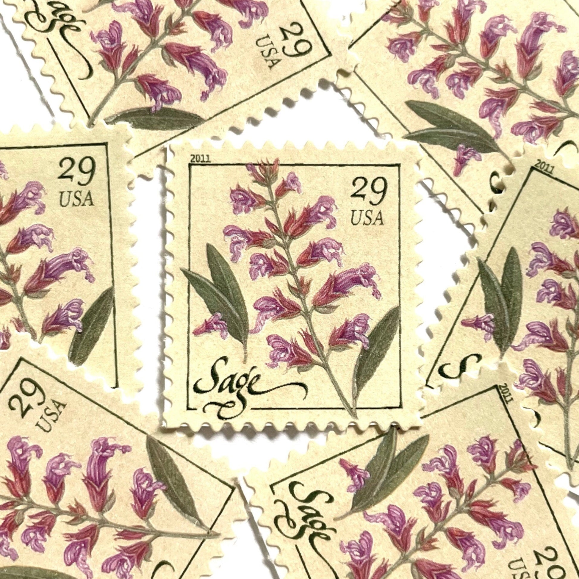 Image of 2011 Herbs Series “Sage” unused 29-cent USPS mail stamps. Scott #4509. Stamp Themes: Herbs, Medicinal, Culinary, Cooking, Flowers, Wildflowers, Floral, Botanical, Fragrant, Mediterranean. Pink, Purple, Violet, Green, White, Beige/Neutral, Multicolored self-adhesive postage stamp. Perfect postage stamp to use for save the date announcements, wedding invitation postage, shower invitations, birth announcements, thank you cards, valentine’s day, and snail mail.