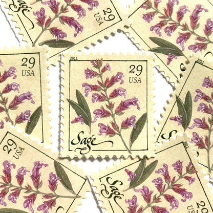 Image of 2011 Herbs Series “Sage” unused 29-cent USPS mail stamps. Scott #4509. Stamp Themes: Herbs, Medicinal, Culinary, Cooking, Flowers, Wildflowers, Floral, Botanical, Fragrant, Mediterranean. Pink, Purple, Violet, Green, White, Beige/Neutral, Multicolored self-adhesive postage stamp. Perfect postage stamp to use for save the date announcements, wedding invitation postage, shower invitations, birth announcements, thank you cards, valentine’s day, and snail mail.