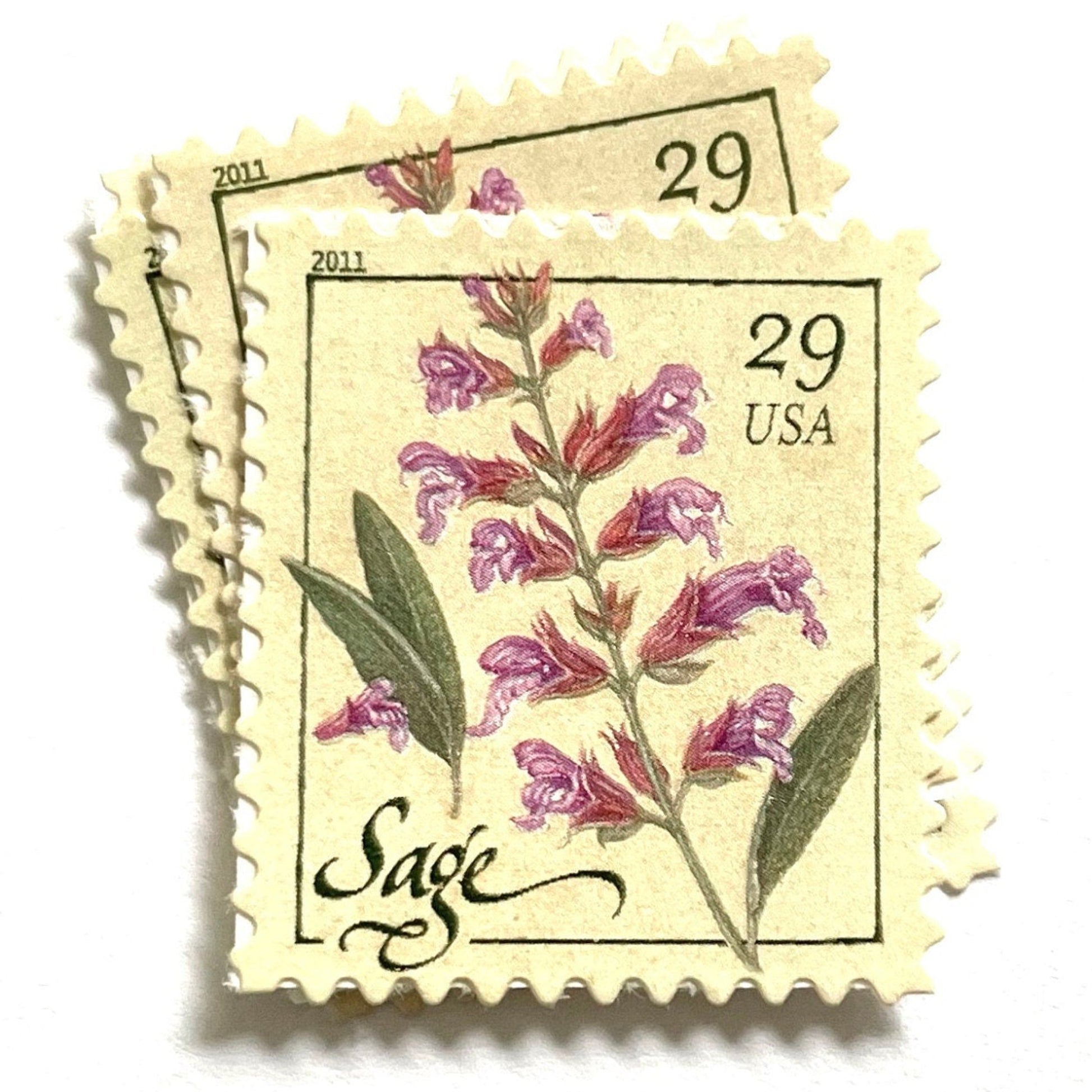 Image of 2011 Herbs Series “Sage” unused 29-cent USPS mail stamps. Scott #4509. Stamp Themes: Herbs, Medicinal, Culinary, Cooking, Flowers, Wildflowers, Floral, Botanical, Fragrant, Mediterranean. Pink, Purple, Violet, Green, White, Beige/Neutral, Multicolored self-adhesive postage stamp. Perfect postage stamp to use for save the date announcements, wedding invitation postage, shower invitations, birth announcements, thank you cards, valentine’s day, and snail mail.