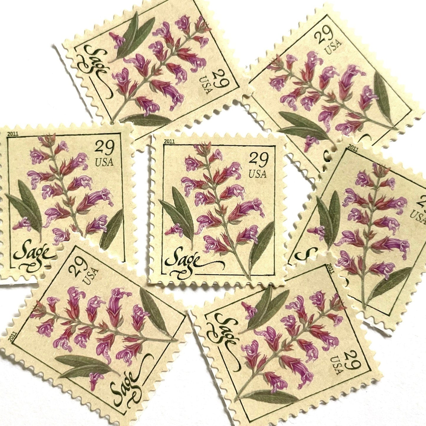 Image of 2011 Herbs Series “Sage” unused 29-cent USPS mail stamps. Scott #4509. Stamp Themes: Herbs, Medicinal, Culinary, Cooking, Flowers, Wildflowers, Floral, Botanical, Fragrant, Mediterranean. Pink, Purple, Violet, Green, White, Beige/Neutral, Multicolored self-adhesive postage stamp. Perfect postage stamp to use for save the date announcements, wedding invitation postage, shower invitations, birth announcements, thank you cards, valentine’s day, and snail mail.