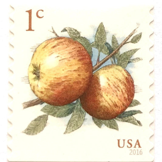 Vintage 2016 Apples postage stamp from the USPS Fruits series featuring two Albemarle Pippin apples on a leafy branch on unused 1-cent USPS postage, Scott 5037.