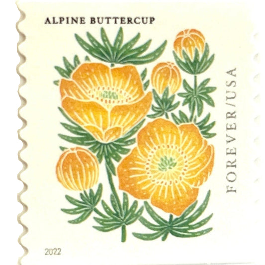 Vintage Alpine Buttercup postage stamp from the 2022 Mountain Flora series featuring a bright yellow alpine buttercup in block-print-style botanical art on unused USPS Forever postage, Scott 5673.