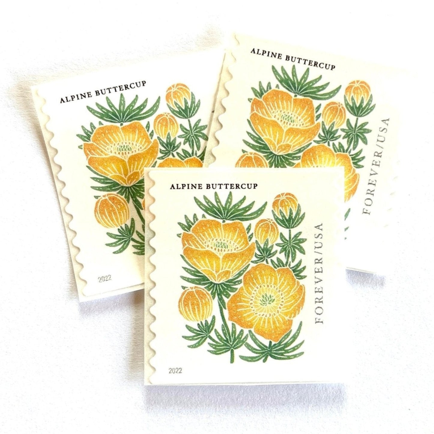 Image of 2022 Mountain Flora Series “Alpine Buttercup” unused Forever USPS mail stamps. Scott #5673. Stamp Themes: Flowers, Wildflowers, Floral, Botanical, Alpine, Mountain Flora, Spring, Mountain Wedding, Rocky Mountains, Montana, Wyoming, Colorado, Utah, New Mexico. Gold, Yellow, Green, Multicolored postage stamp. Perfect vintage postage stamp to use for save the date announcements, wedding invitation postage, shower invitations, thank you cards, birthday party invites, and snail mail.