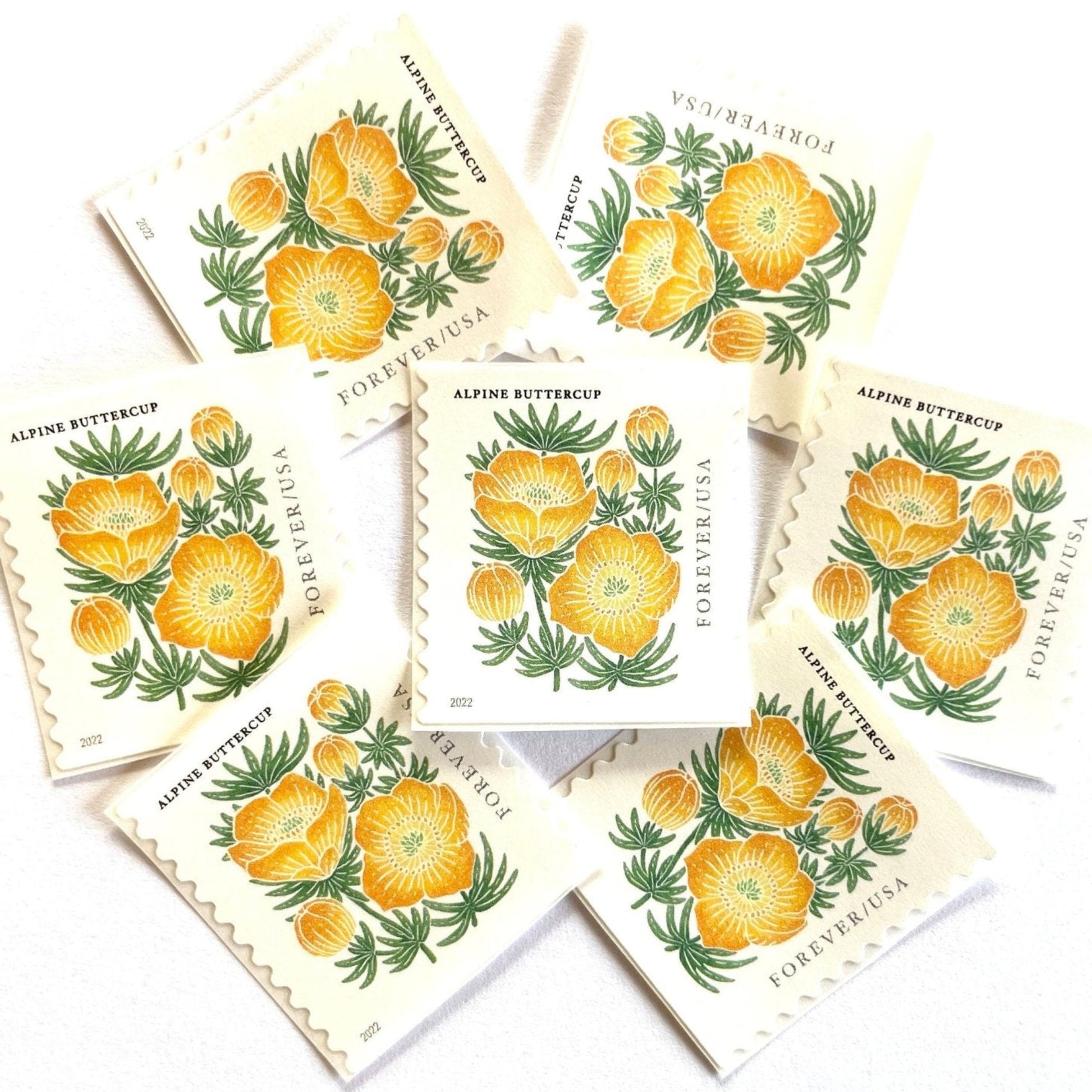 Image of 2022 Mountain Flora Series “Alpine Buttercup” unused Forever USPS mail stamps. Scott #5673. Stamp Themes: Flowers, Wildflowers, Floral, Botanical, Alpine, Mountain Flora, Spring, Mountain Wedding, Rocky Mountains, Montana, Wyoming, Colorado, Utah, New Mexico. Gold, Yellow, Green, Multicolored postage stamp. Perfect vintage postage stamp to use for save the date announcements, wedding invitation postage, shower invitations, thank you cards, birthday party invites, and snail mail.