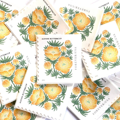 Image of 2022 Mountain Flora Series “Alpine Buttercup” unused Forever USPS mail stamps. Scott #5673. Stamp Themes: Flowers, Wildflowers, Floral, Botanical, Alpine, Mountain Flora, Spring, Mountain Wedding, Rocky Mountains, Montana, Wyoming, Colorado, Utah, New Mexico. Gold, Yellow, Green, Multicolored postage stamp. Perfect vintage postage stamp to use for save the date announcements, wedding invitation postage, shower invitations, thank you cards, birthday party invites, and snail mail.